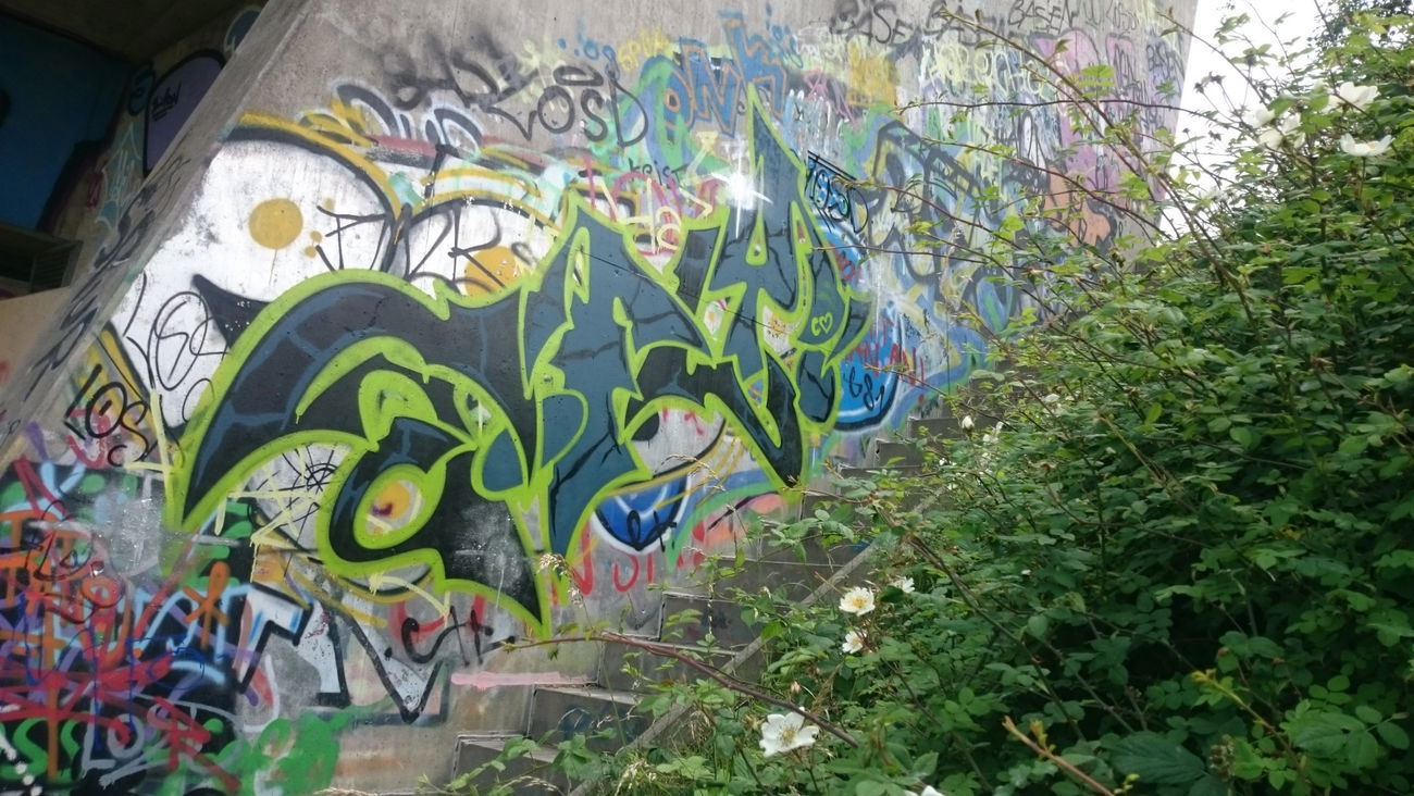 Graffiti Bombing in Dresden - Photo by cheesy - sfly???