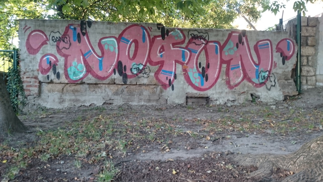 Graffiti Wall in Dresden - Photo by cheesy - Nofun