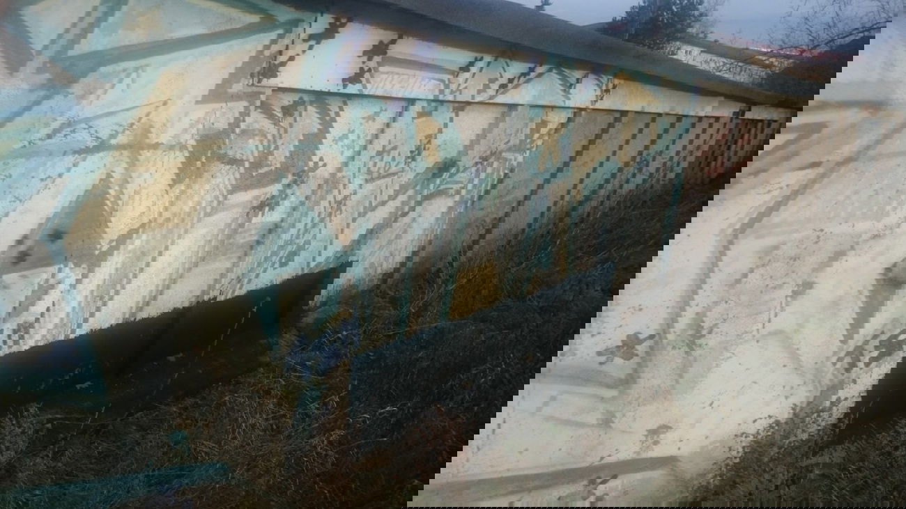 Graffiti Bombing in Dresden - Photo by cheesy - miliz???, tsm (2000)