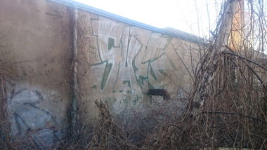 Graffiti Bombing in Dresden - Photo by cheesy - shec