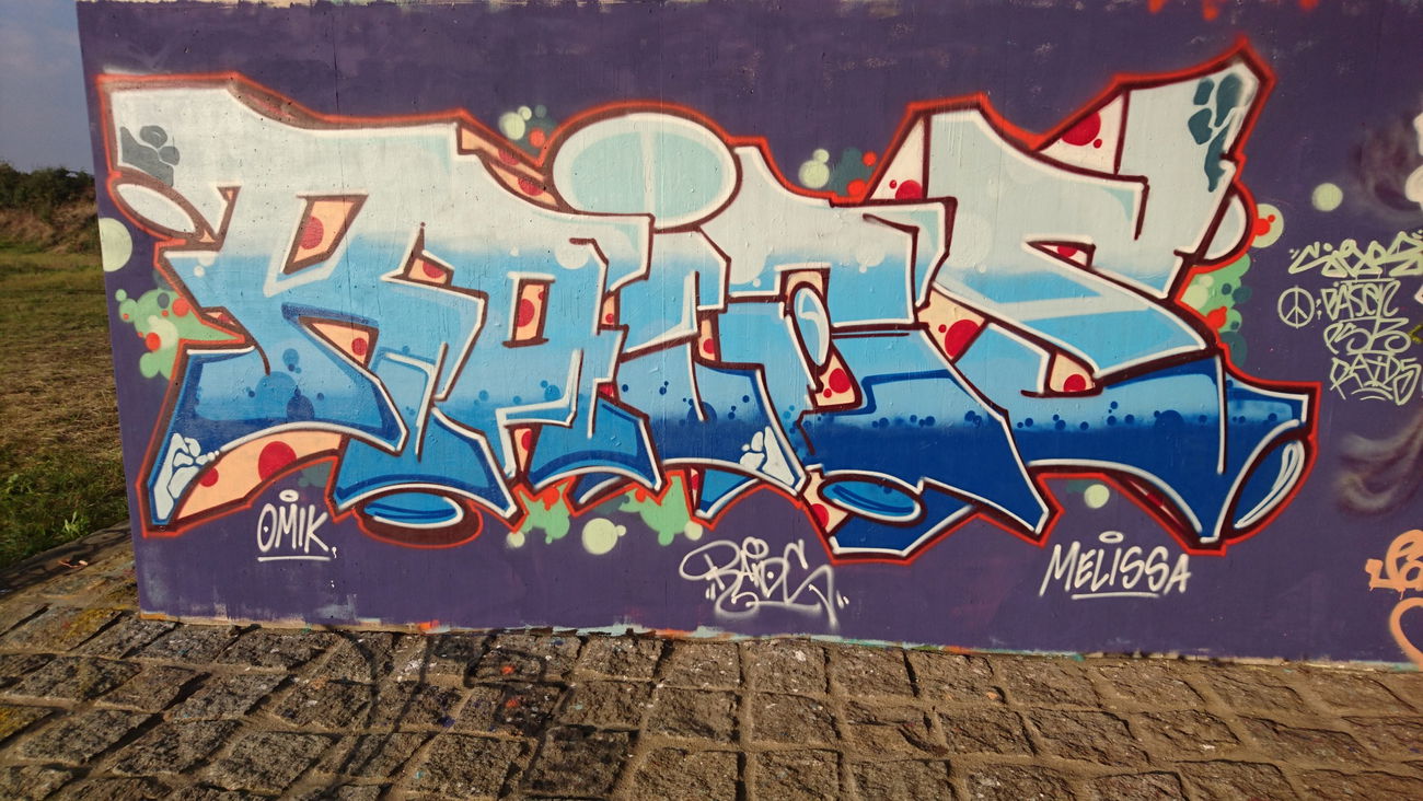 Graffiti Wall in Dresden - Photo by cheesy - Raids