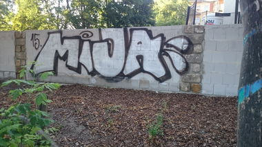 Graffiti Bombing in Dresden - Photo by cheesy - Mija