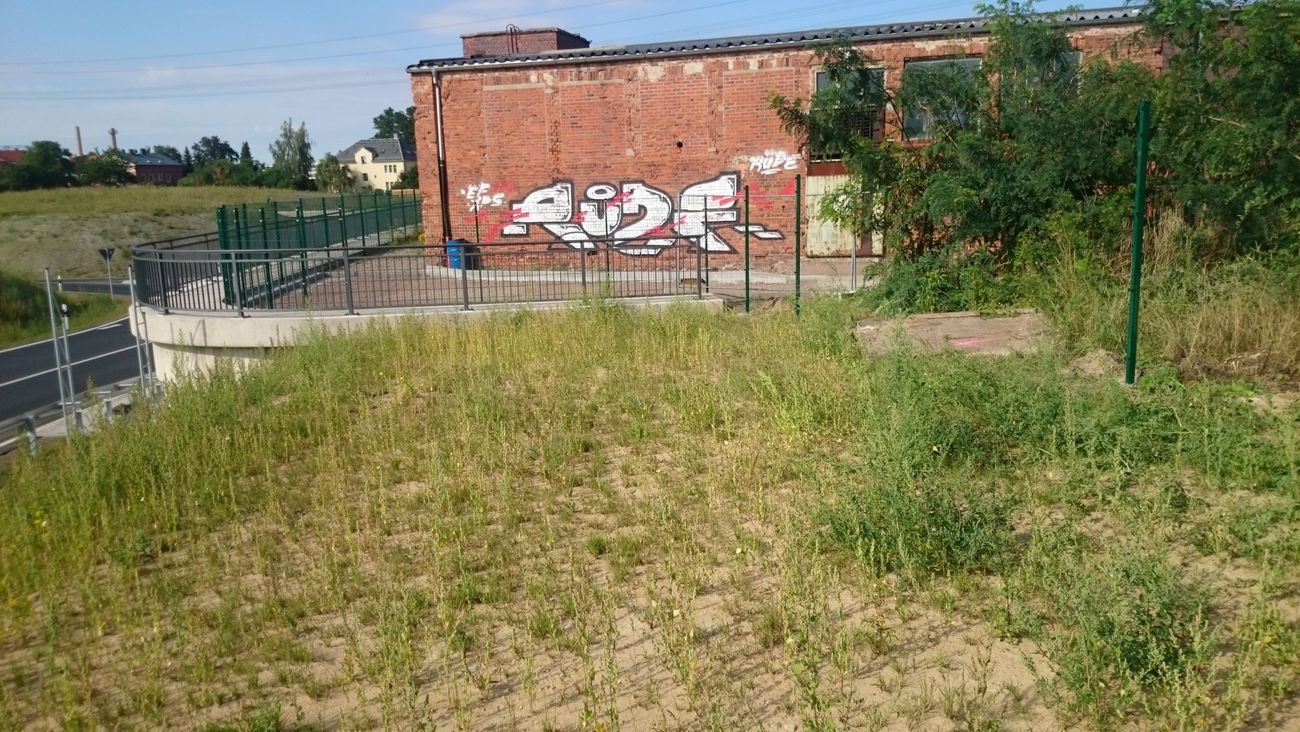 Graffiti Bombing in Dresden - Photo by cheesy - Rüde