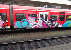 Photo #26419 by Belt