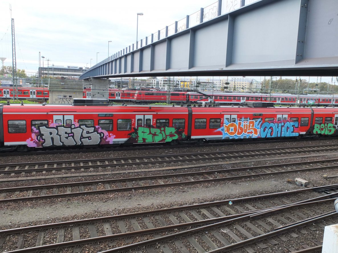 Graffiti Train - Photo by chef - reis, obus, shice
