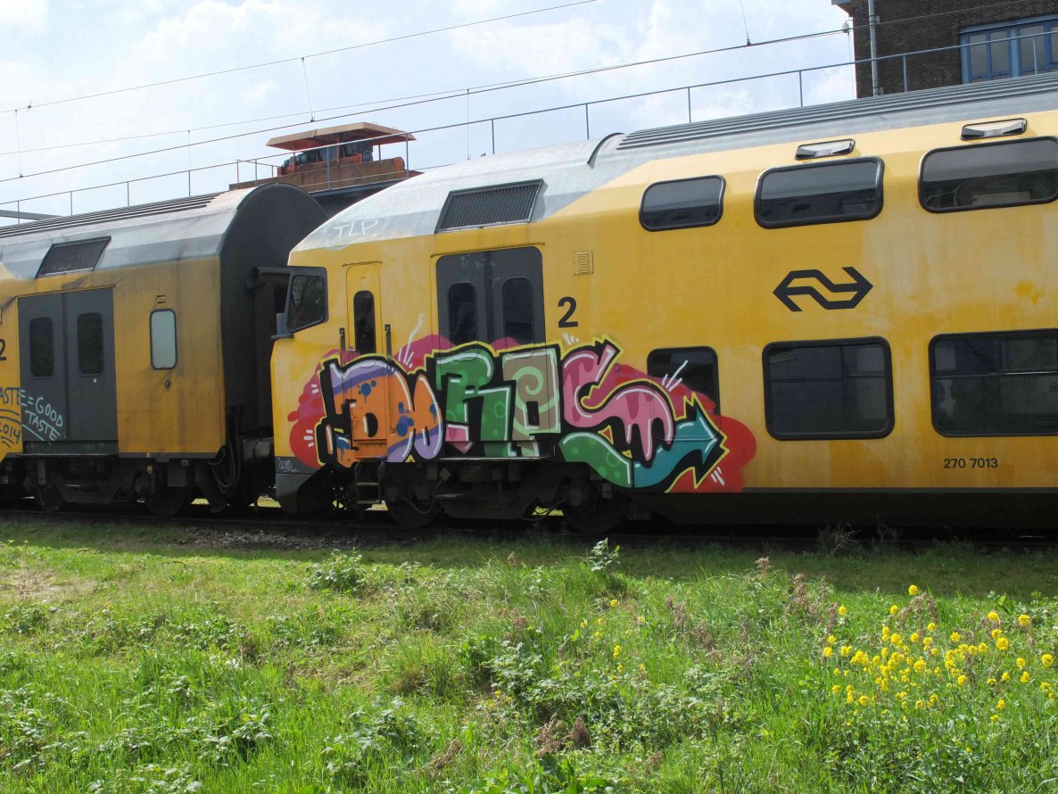 Graffiti Train - Photo by chef - dorps
