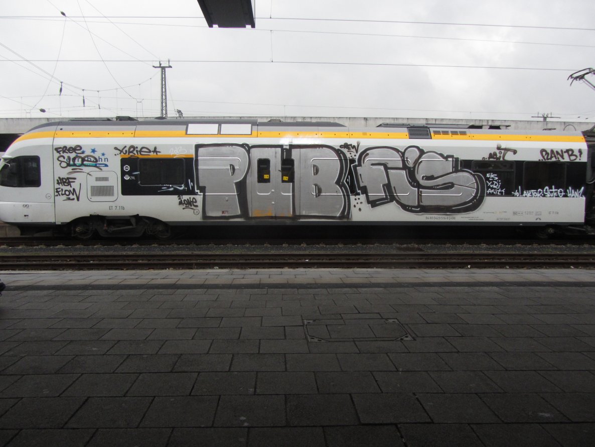 Graffiti Train - Photo by chek