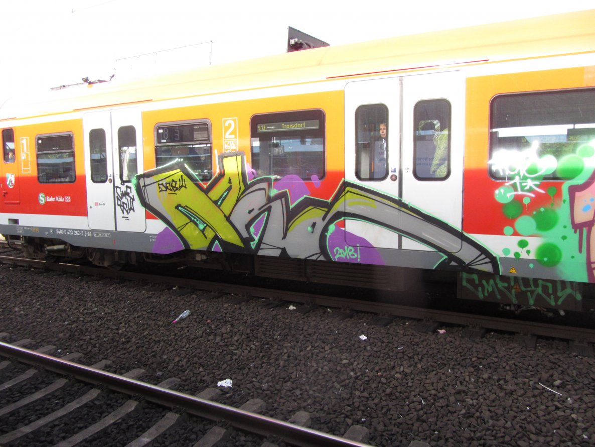 Graffiti Train - Photo by chek