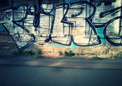 Photo #39659 by FEASTSFK