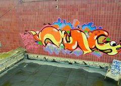 Photo #44146 by Belt