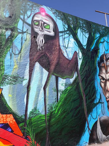 Graffiti Wall in São paulo - Photo by chor2018 - graffiti, bsc, bocasujacrew (2017)