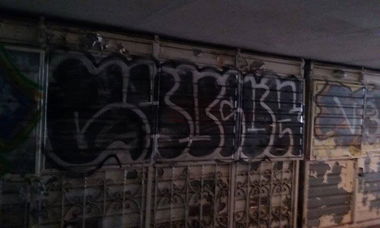 Graffiti Bombing in Vilnius - Photo by chunkey - lazdynai, zoo, throwup (2015)