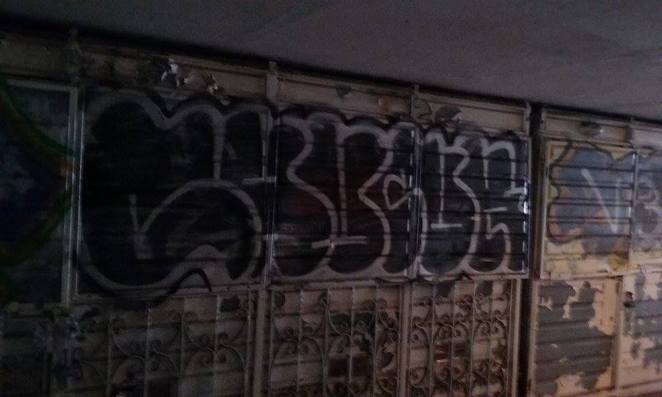 Graffiti Bombing in Vilnius - Photo by chunkey - lazdynai, zoo, throwup (2015)