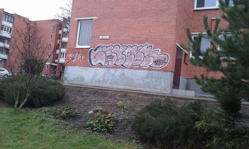Graffiti Bombing in Vilnius - Photo by chunkey - bsf, fuckrain, throwup (2015)