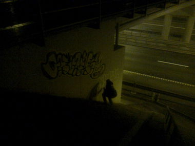 Graffiti Bombing in Vilnius - Photo by chunkey - panarai, under, da (2015)