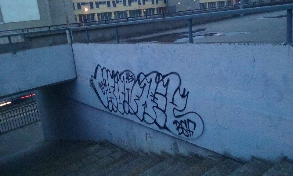 Graffiti Wall - Photo by chunkey - throwup, bsf, vln (2015)