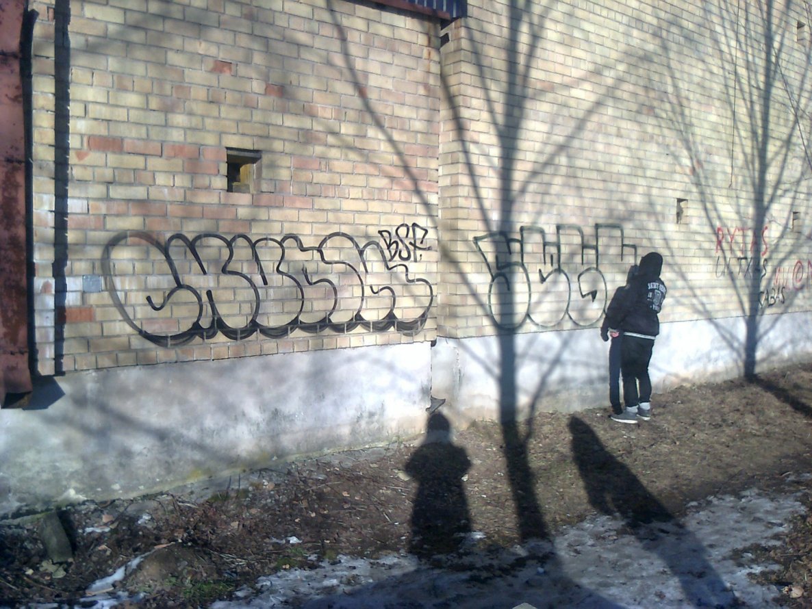 Graffiti Bombing in Vilnius - Photo by chunkey - flops, outlines (2015)