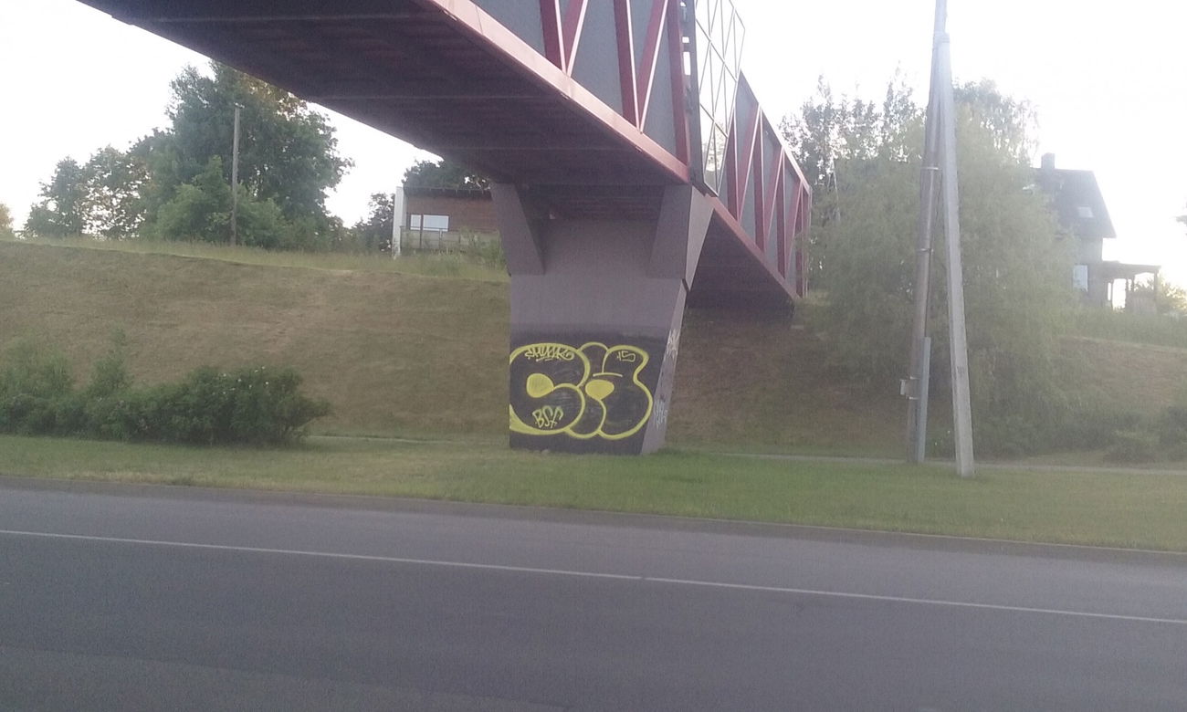 Graffiti Bombing - Photo by chunkey - bsf (2015)