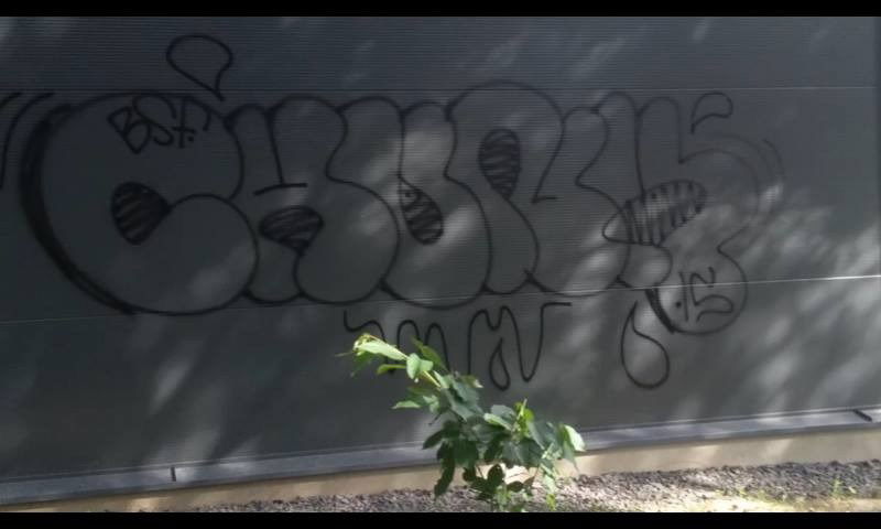 Graffiti Bombing - Photo by chunkey - black, bsf, dirty (2015)