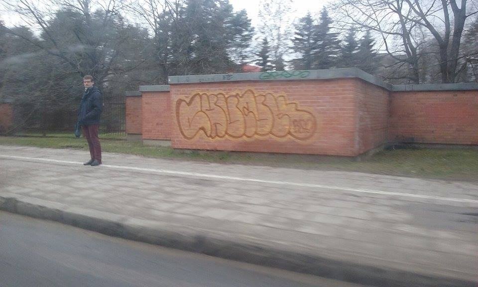 Graffiti Wall in Vilnius - Photo by chunkey - chunk, bsf, throwup (2015)