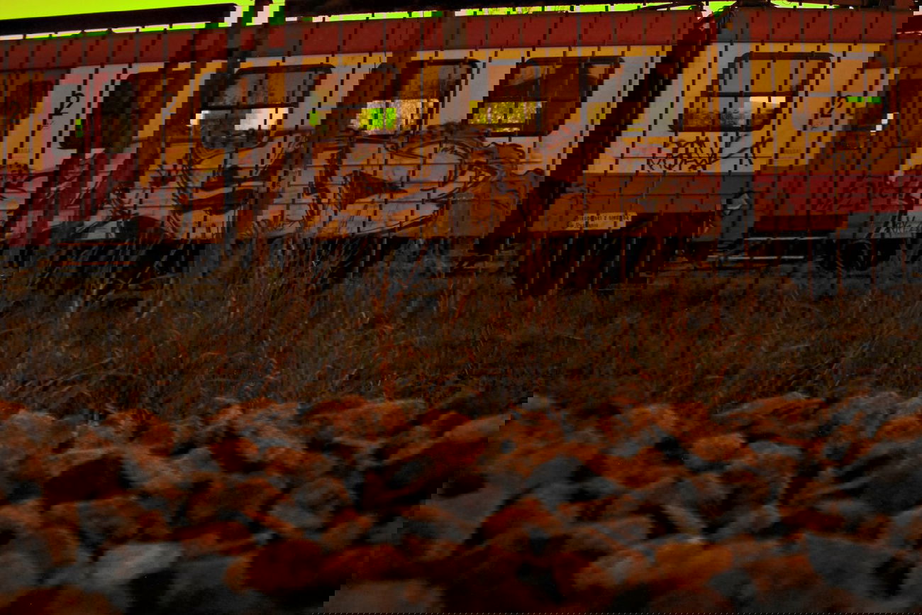 Graffiti Train - Photo by ciastka (2013)