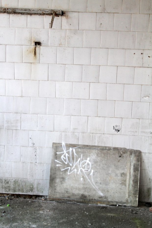 Graffiti Artwork - Photo by ciklone - cikl1 (2015)