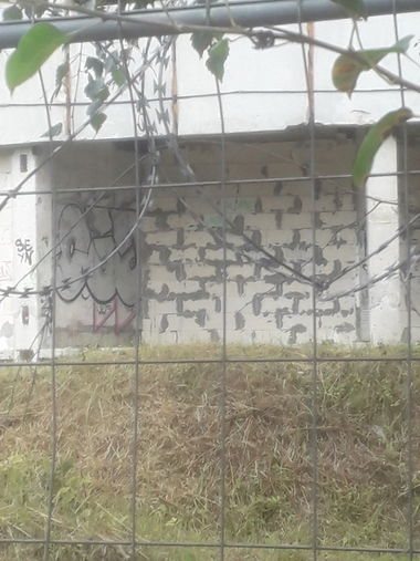 Graffiti Wall - Photo by citovebzr