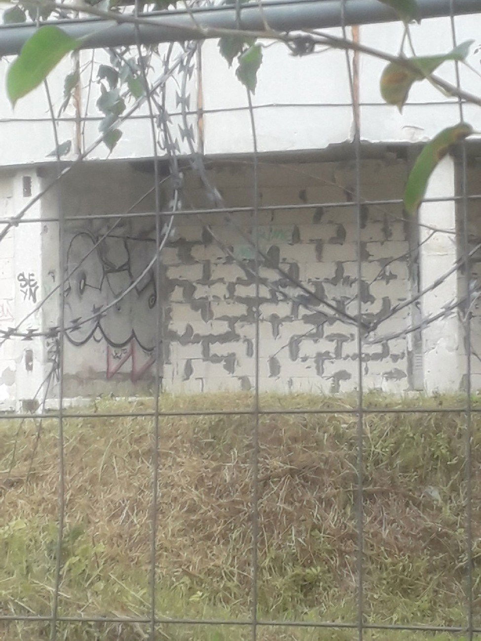 Graffiti Wall - Photo by citovebzr