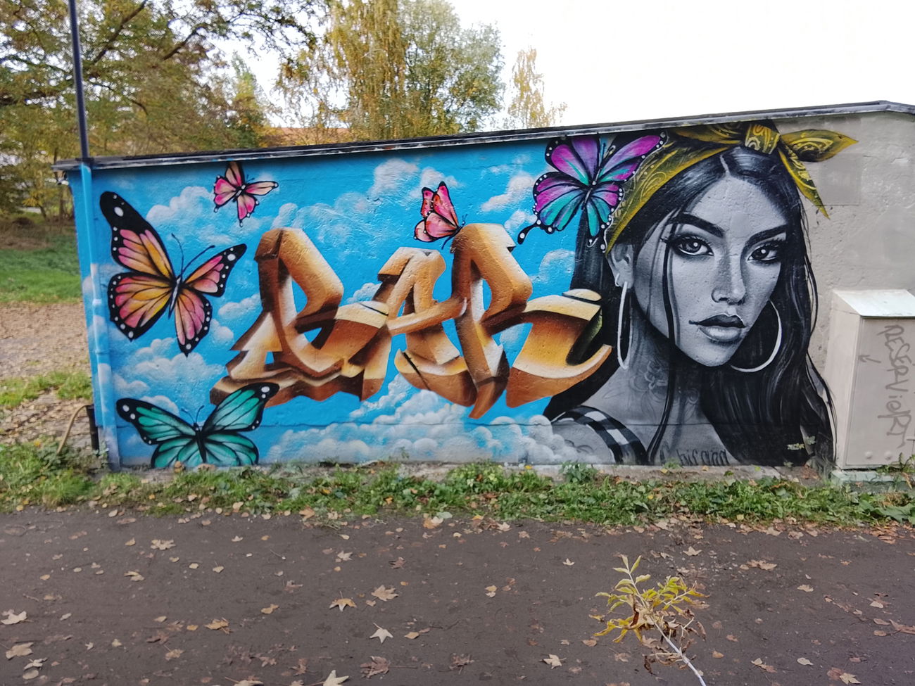 Graffiti Wall - Photo by colucci357 (2025)