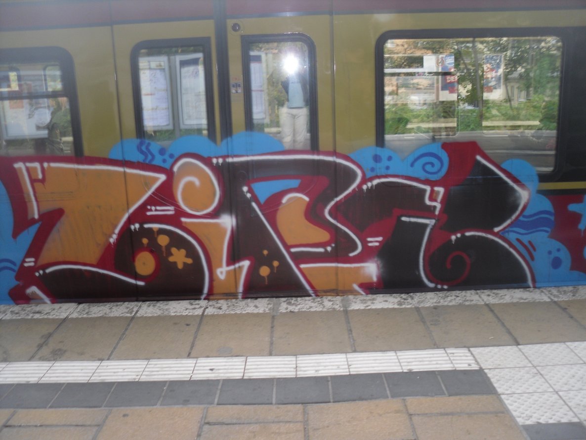 Graffiti Train - Photo by columbiandreams - zipit (2013)