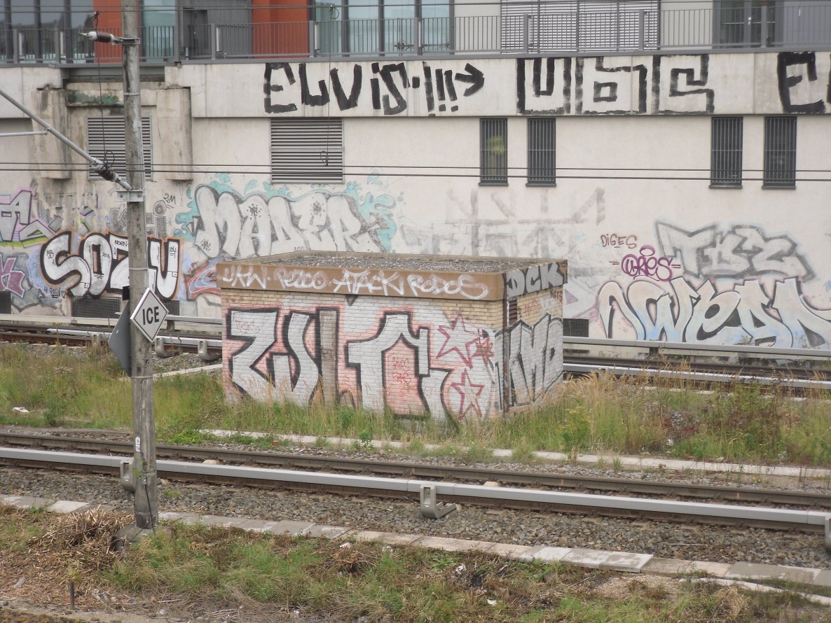 Graffiti Bombing - Photo by columbiandreams - Sozu, Mader, Wlc (2013)