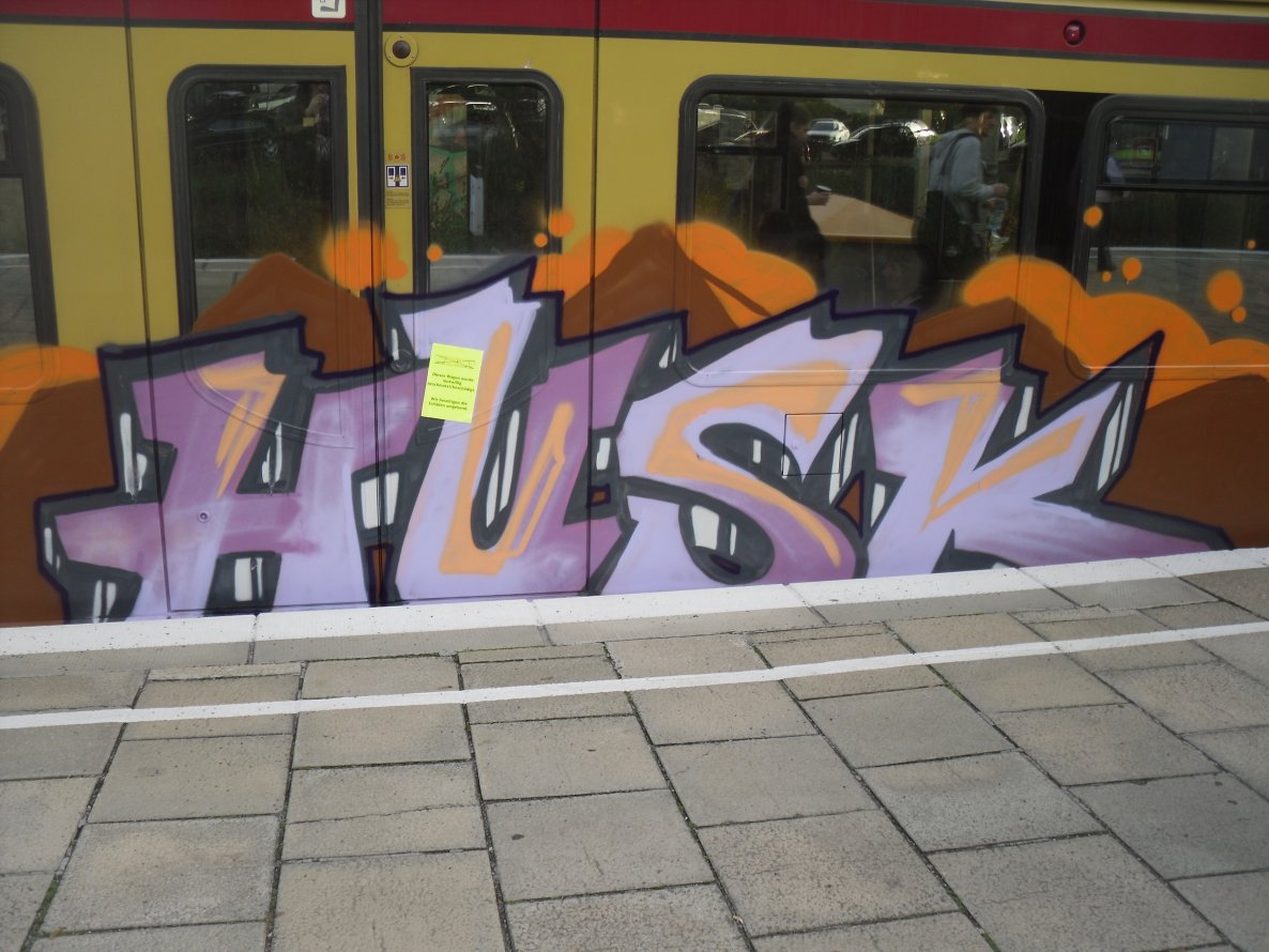 Graffiti Train - Photo by columbiandreams - husk, turo (2013)