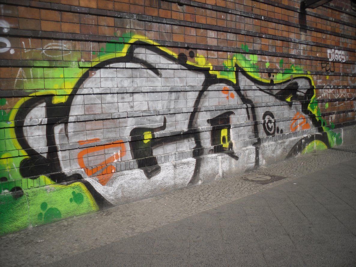 Graffiti Bombing - Photo by columbiandreams - Coa