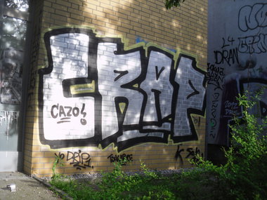 Graffiti Bombing - Photo by columbiandreams - crap
