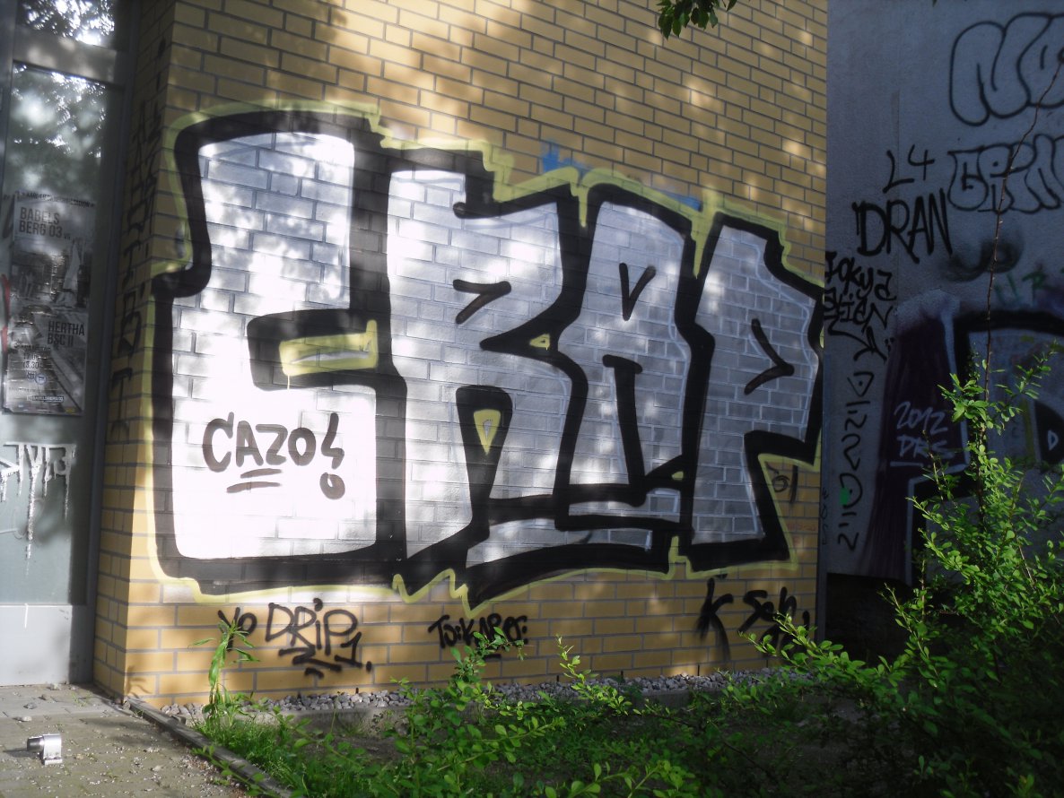 Graffiti Bombing - Photo by columbiandreams - crap