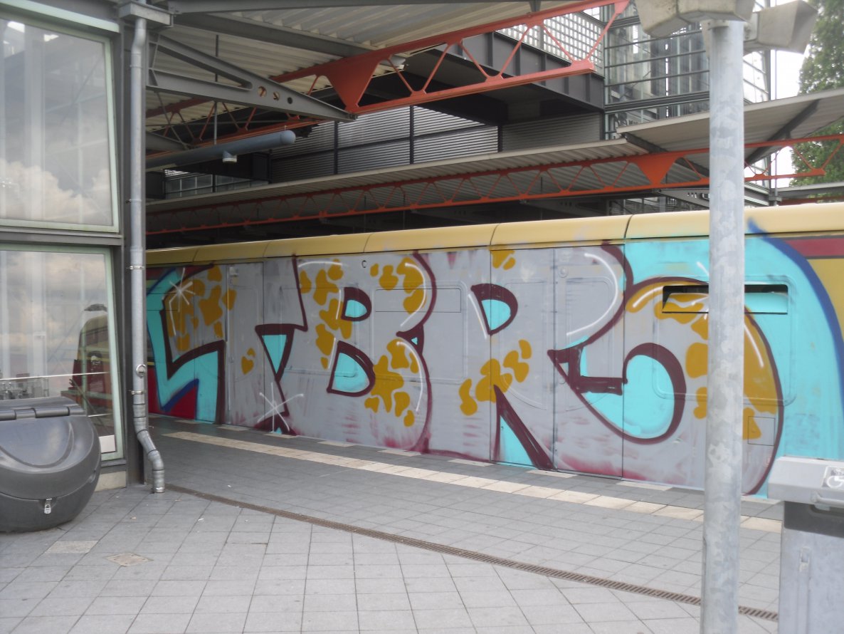 Graffiti Train - Photo by columbiandreams - tbr (2014)