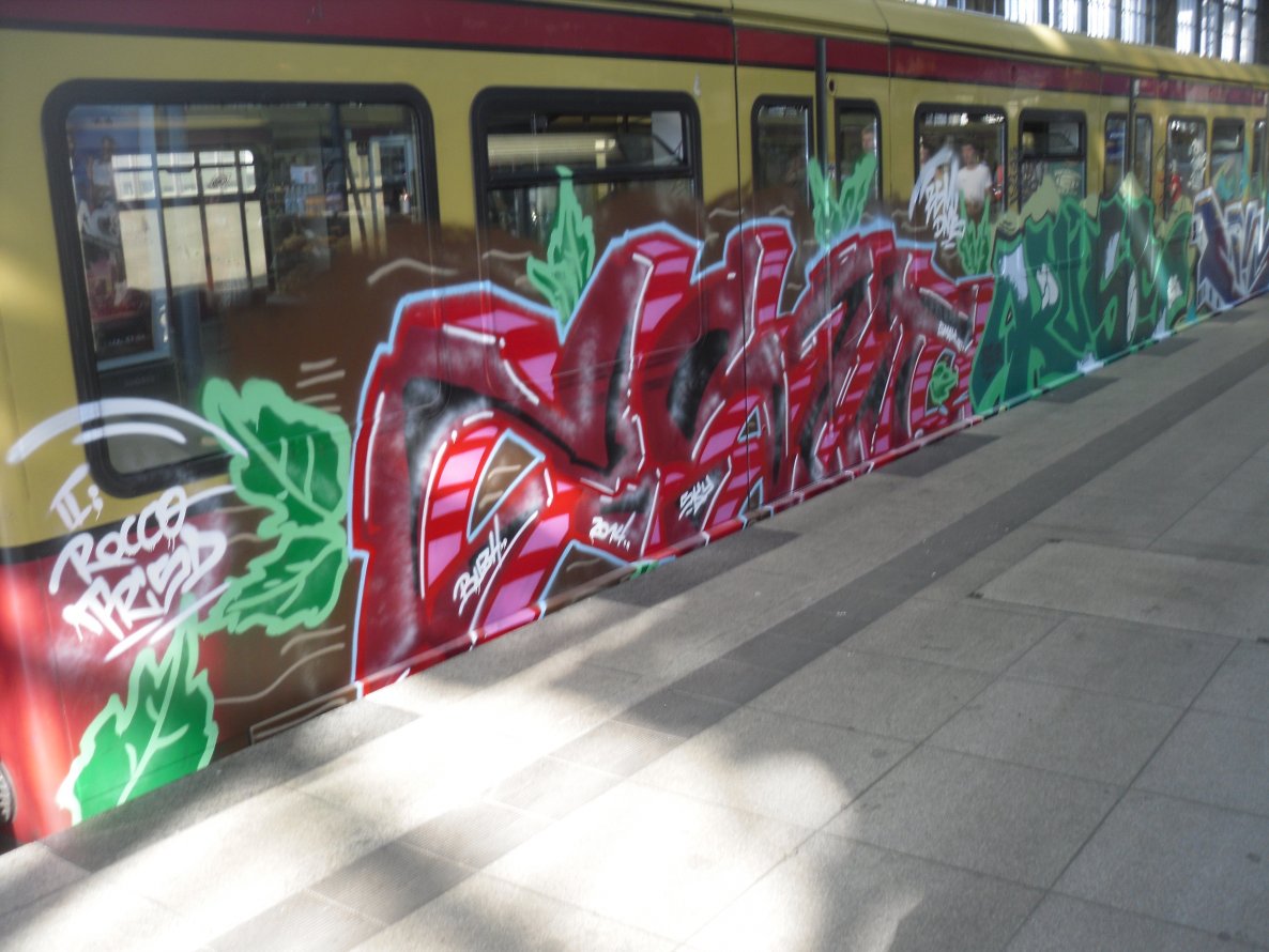 Graffiti Train - Photo by columbiandreams - arzt, bush, zgm (2014)