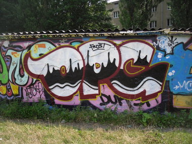 Graffiti Bombing - Photo by columbiandreams - opc, frost (2014)