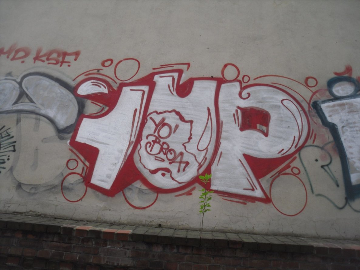 Graffiti Bombing - Photo by columbiandreams