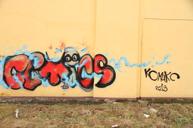 Graffiti Bombing - Photo by comics