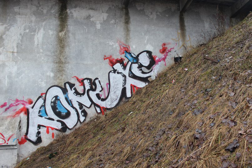 Graffiti Bombing - Photo by comics (2014)