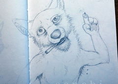 Photo #104279 by akoneNC