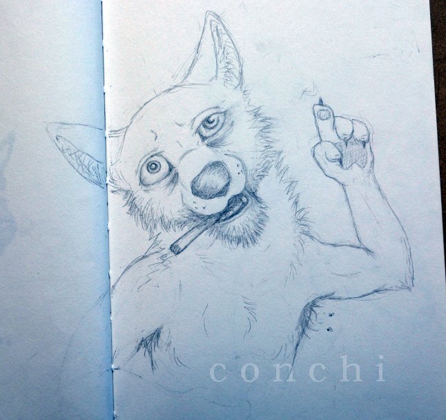Graffiti Sketch - Photo by conchi - conchi, wolf (2014)