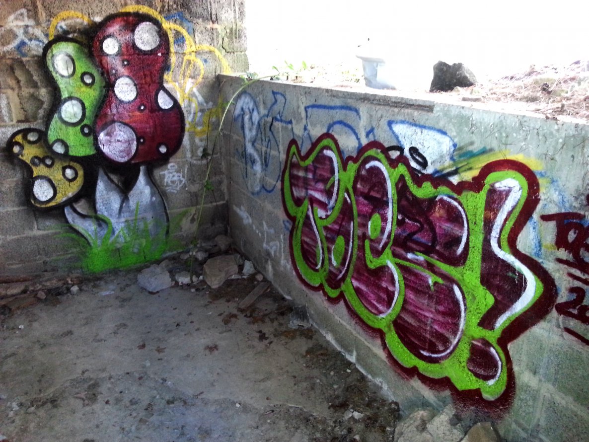 Graffiti Wall - Photo by concretcolours - Toes, shrooms (2014)