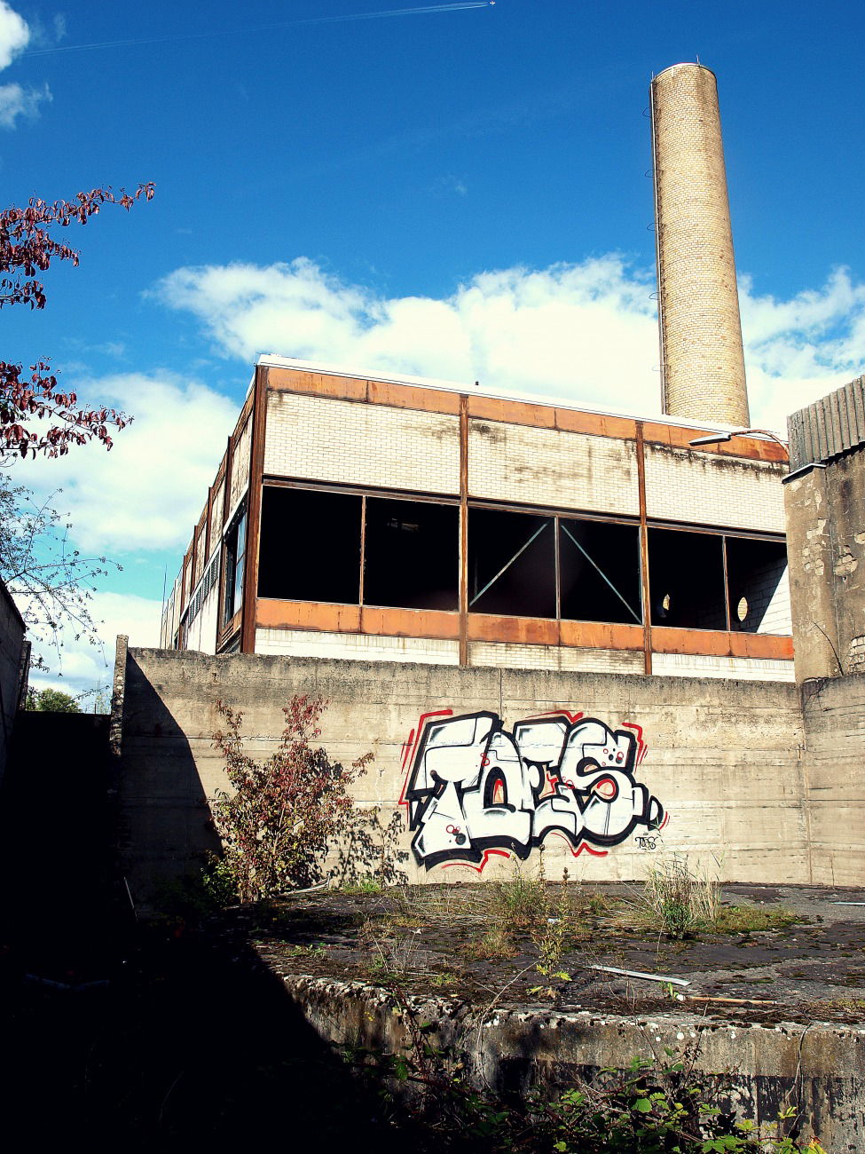 Graffiti Bombing - Photo by concretcolours - TOES (2015)