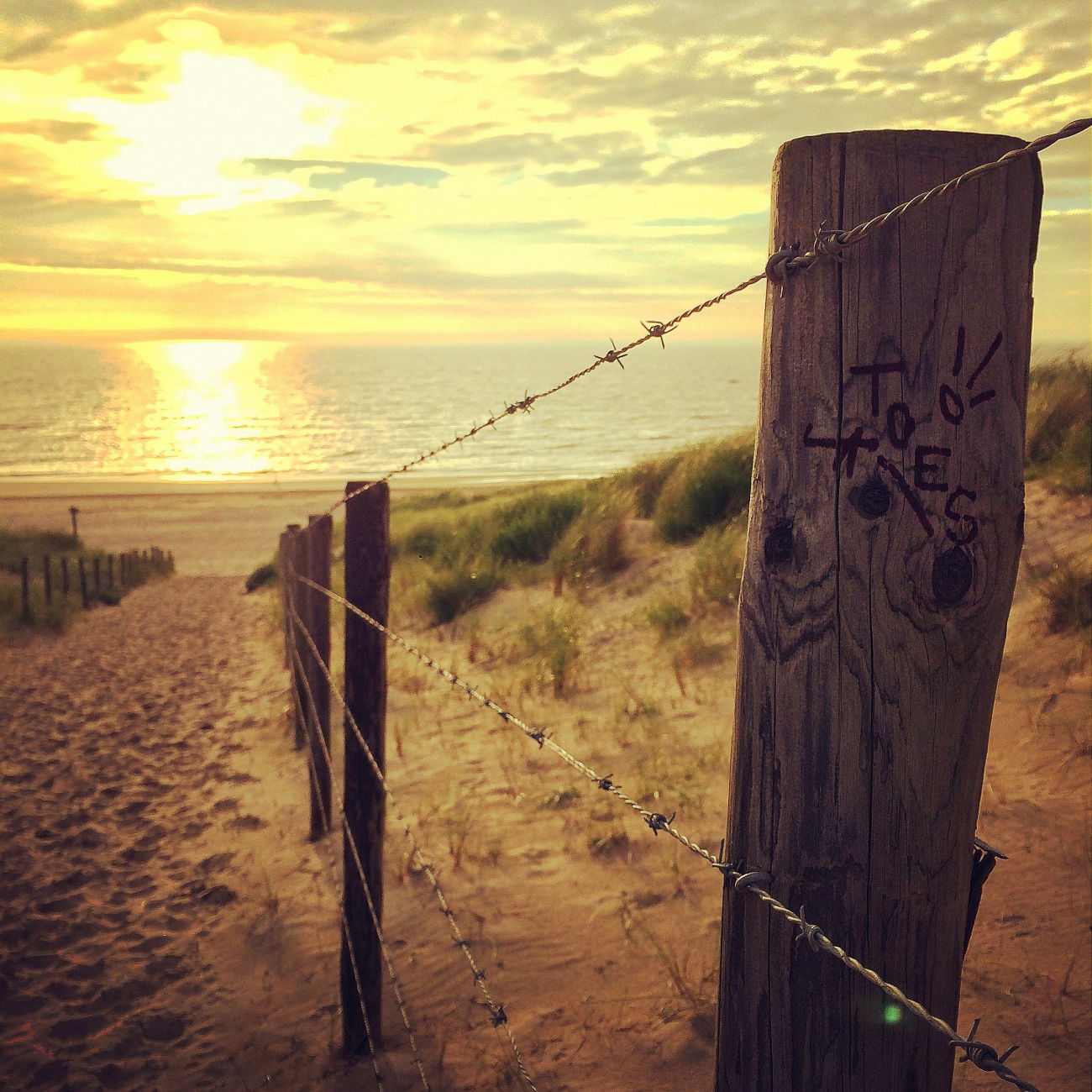 Graffiti Artwork - Photo by concretcolours (2016)