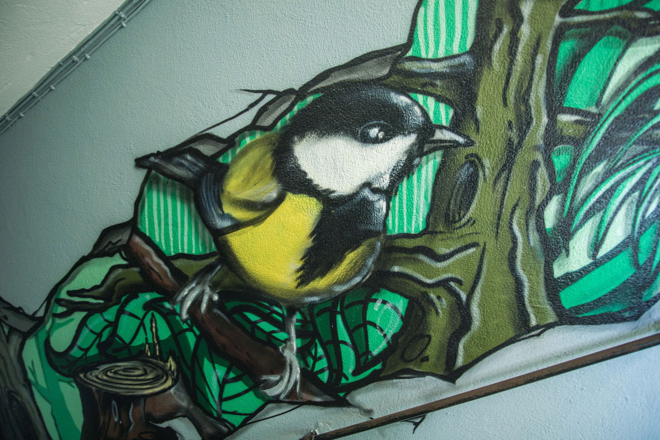 Graffiti Wall - Photo by concretcolours