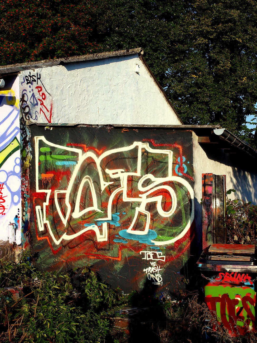 Graffiti Wall - Photo by concretcolours - Toes (2015)