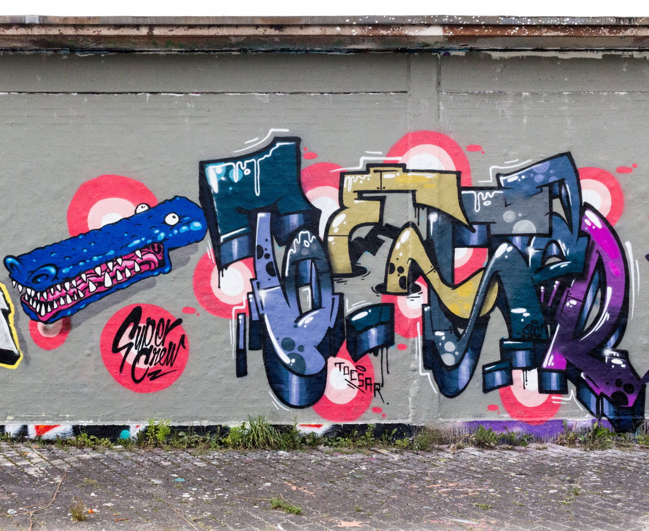 Graffiti Wall - Photo by concretcolours - TOESAR, TOES, FINK (2017)