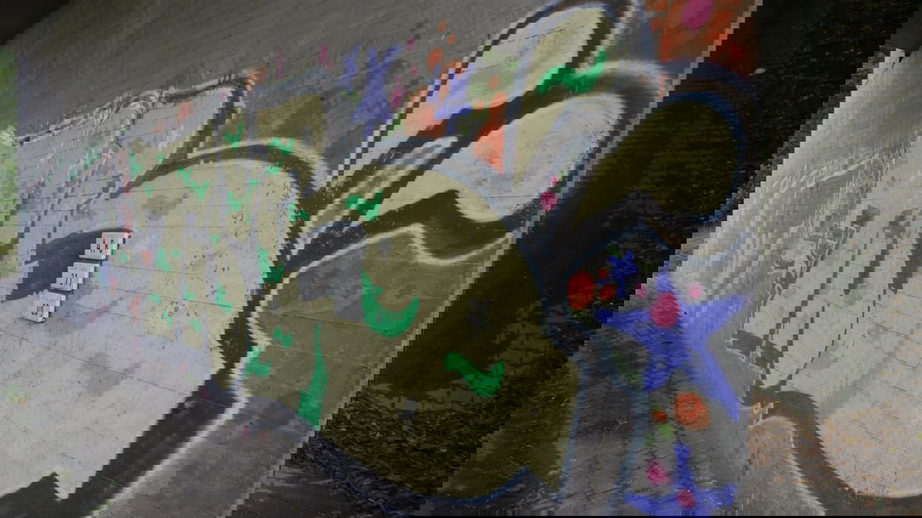 Graffiti Bombing - Photo by crazyg